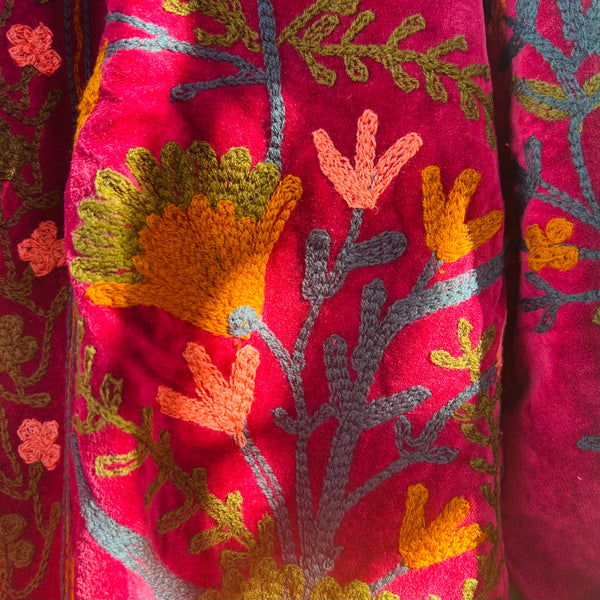 Velvet Embroidered Jacket – Raspberry